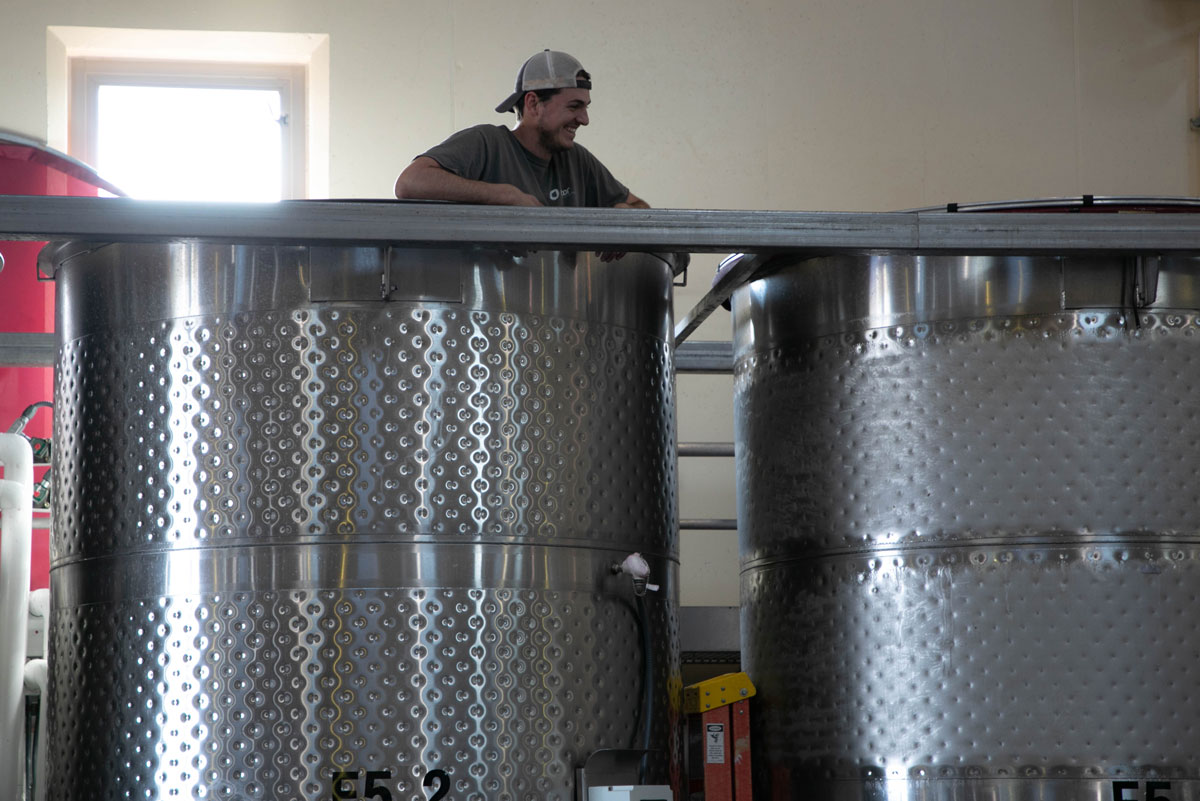 Winemaking and Punching-Down Grapes Digging Tanks